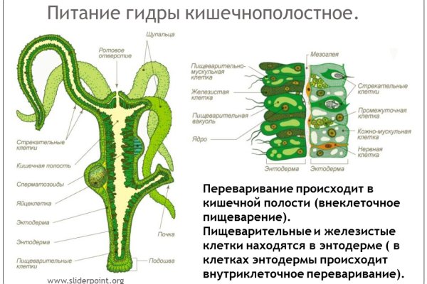 Кракен сайт продаж