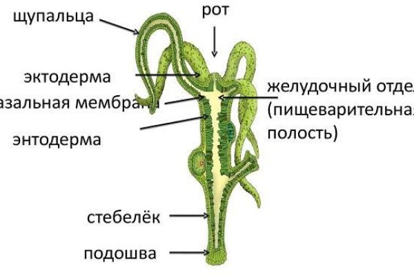 Кракен официальный сайт